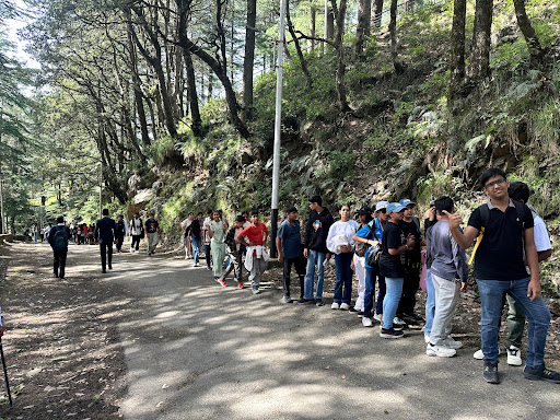 Photo from customer review